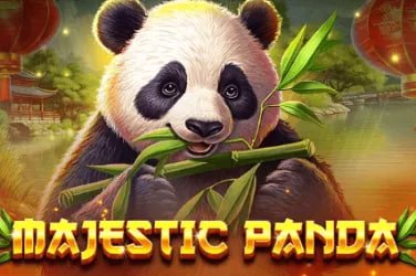Hệ thống thanh toán VND tiện lợi và nhanh chóng tại nk8